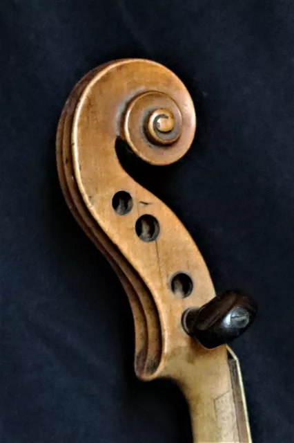 Sehr alte Geige bez. "C. F. BAUER 1803" - Very old violin < 200 yrs old!