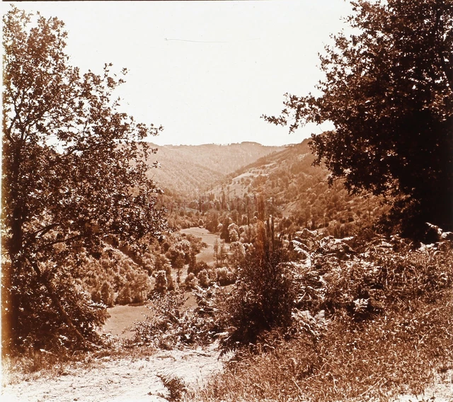 Paysage France Photo Stereo PL58L10n7 Plaque de verre c1920