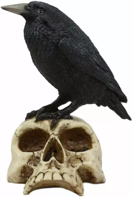 Ebros Gothic Raven Perching On Skull Statue 7.25" High Crow Scavenger Figurine 2