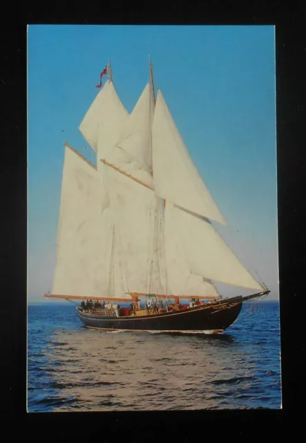 1970s The Bluenose II Pride of Nova Scotia Sailing Ship NS Canada Postcard