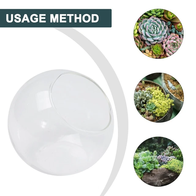Vase Boule En Verre Borosilicate Transparent 12 Cm - Ouverture Ouverte, Trou De Suspension - Pour Plantes Succulentes, Terrarium, Décoration Intérieur/jardin