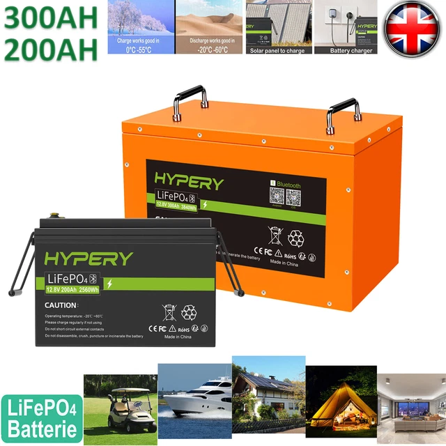 12V-24V 300AH 100AH Lithium LiFePO4 Deep Cycle Battery Solar BMS RV ...