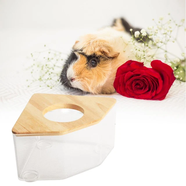 Toilettes de salle de bains pour animaux de compagnie de boîte de bain de