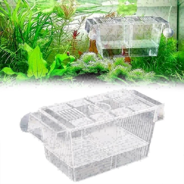 Aquarium Fish Tank Guppy Double Breeding Breeder, Der X6K0 7Y9I Clear U2G2 A9E7 2