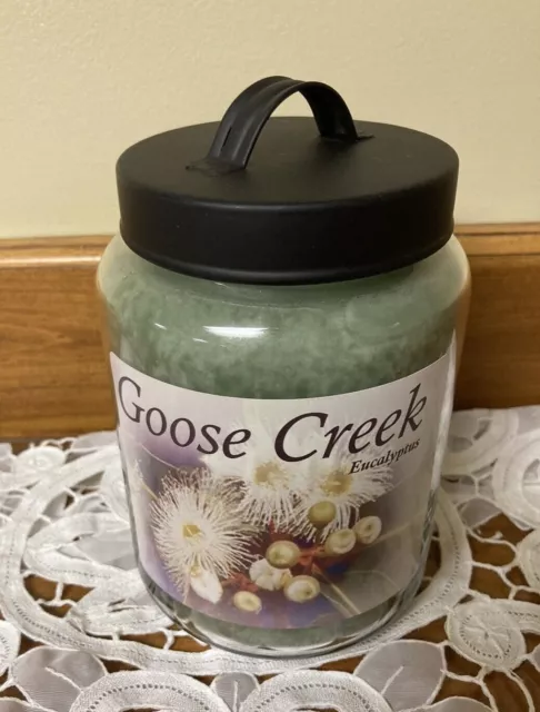 Goose Creek (2) HARVEST PICNIC 20 oz Jar Candles 2 Wick Tumblers TWO!!