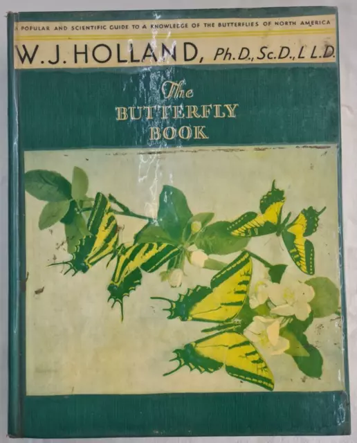 The Butterfly Book: A Popular Guide to a Knowledge... W.J. Holland