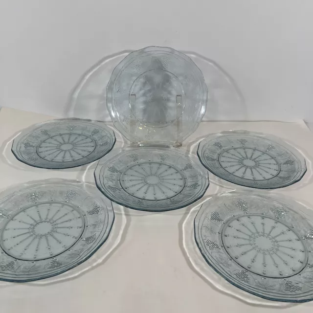 6 Arcoroc France Sapphire Blue Glass 8” Luncheon Plates Grapes Vines Vintage