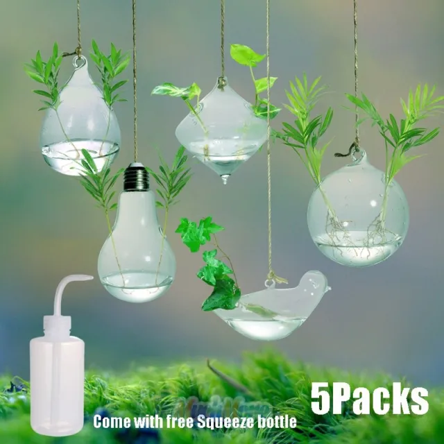 2-5Pcs Home Hanging Glass Ball Vase Flower Planter Pot Terrarium Container Decor
