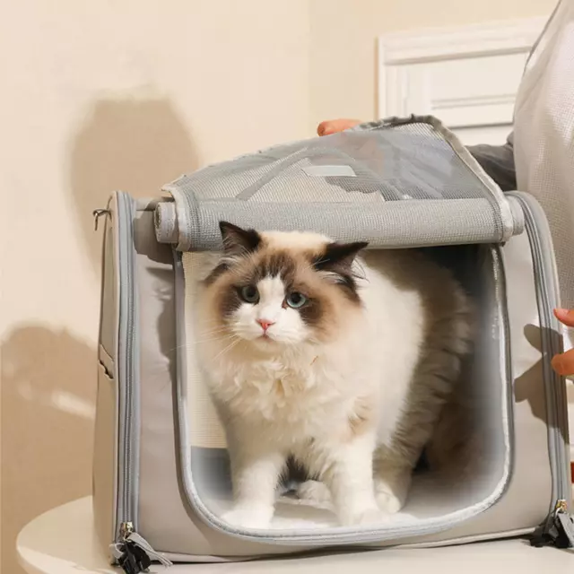 Portable Cat Carrier Small Dogs Outdoor Carrier Shoulder Bag Folding for Small