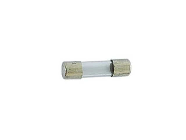 10 x Fusible verre temporise 5x20mm 250mA                               FU5T250M