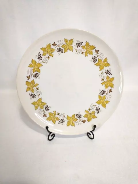 Vtg Carefree True China Syracuse Yellow Leaves Brown Grapes 10in Dinner Plate