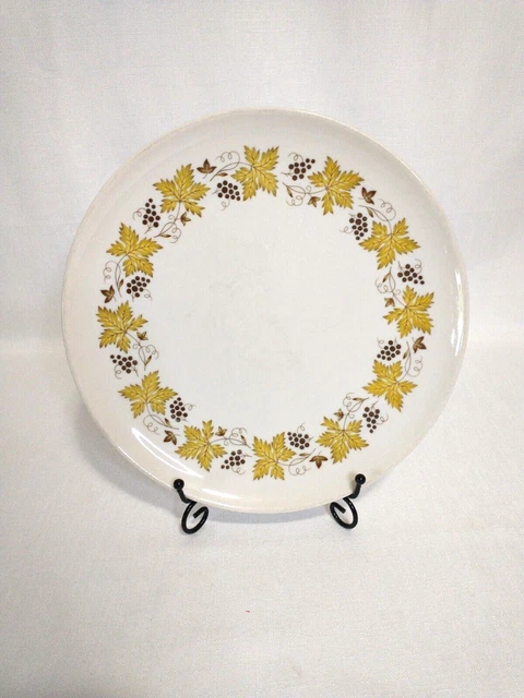 Vtg Carefree True China Syracuse Yellow Leaves Brown Grapes 10in Dinner Plate