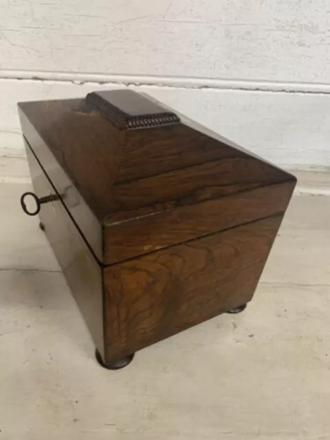 Georgian Regency Rosewood Tea Caddy 3