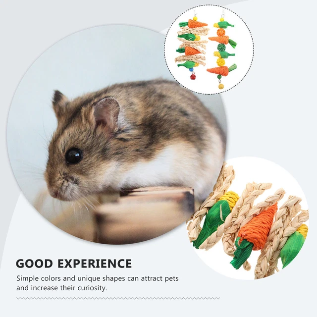 2Pcs Kaninchen Käfig Hamster Kaninchen Molaren Spielzeug Für Tiere 3