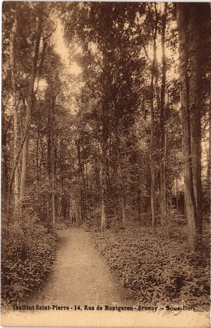 CPA Rue de Brunoy Sous Bois FRANCE (1371461)