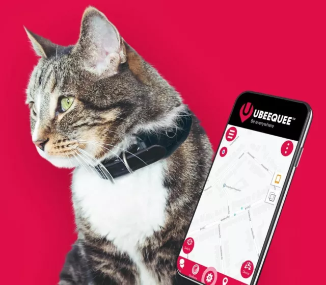 Cat |  Lightest UK tracker | Free and shareable app | UBEE LYNX