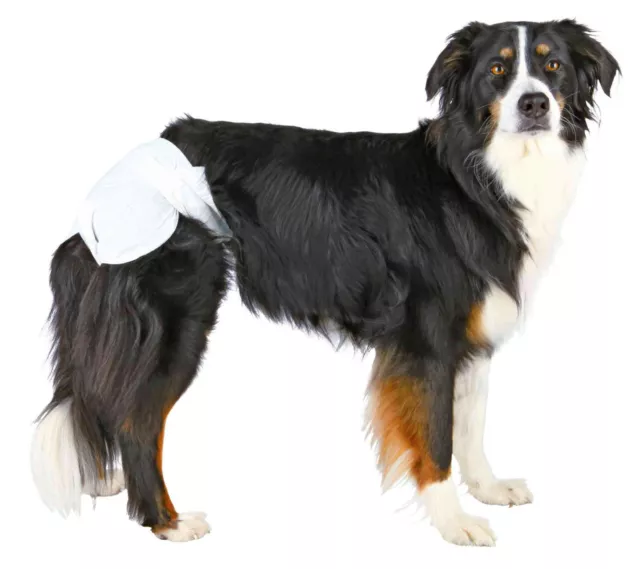 Trixie Hundewindeln Hündinnen Klebeverschluss Läufigkeit Inkontinenz alle Größen