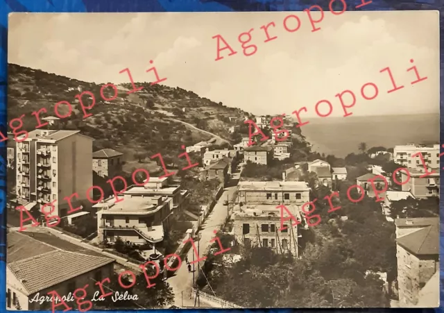 AGROPOLI LA SELVA Salerno Campania via San Francesco Amendola cartolina anni 60