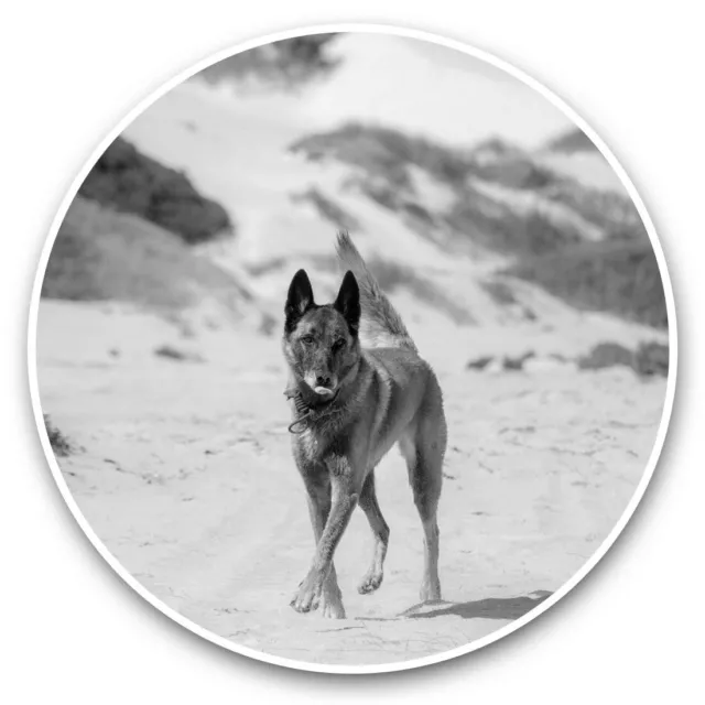 2 x Vinyl Stickers 10cm (bw) - Belgian Shepherd Malinois Dog  #38905