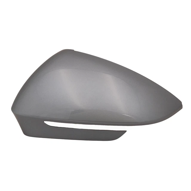 Plaques Déco Poignée De Porte Acier Inox Pour Scania Série R - Lot Gauche + Droite