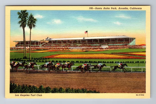Arcadia CA-California, Santa Anita Park, Los Angeles Turf Club Vintage Postcard