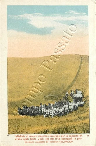 Prima guerra mondiale - Raccolta di grano negli Stati Uniti per le truppe - 1918