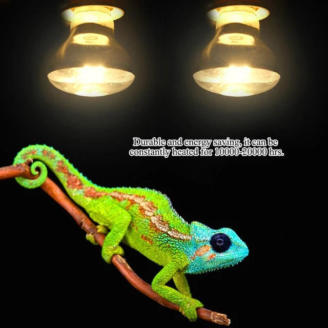 50W Reptile Heat Lamp for Night Basking Spot Tortoise Heater