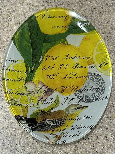 MICHEL DESIGN WORKS Oval Glass Trinket Soap Sponge 6" Dish Lemons Basil Bird EUC MICHEL DESIGN WORKS Oval Glass Trinket Soap Sponge 6" Dish Lemons Basil Bird EUC