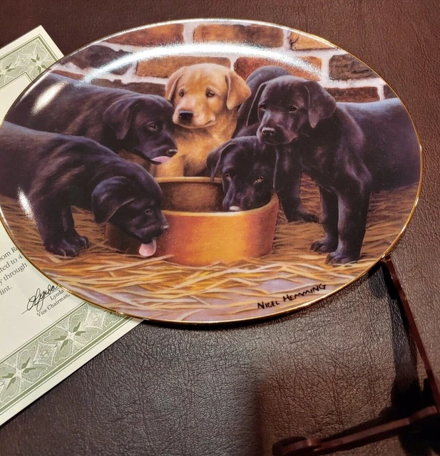 Five and Dine COA Dogs Labs Labrador Puppies Franklin Mint Nigel Hemming