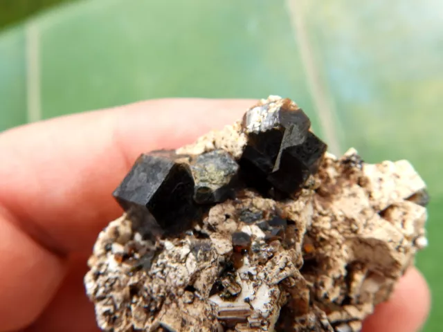 Minerales" Bonitos Y Perfectos Granates Negros Matriz De Ortosa Marruecos-3C15 " 2