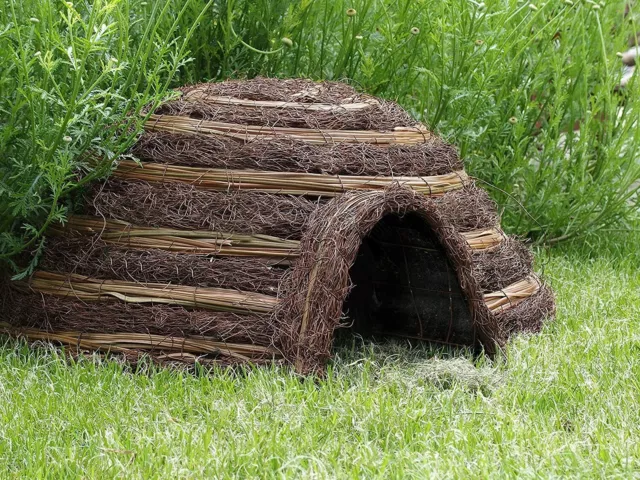 Hogar iglú erizo