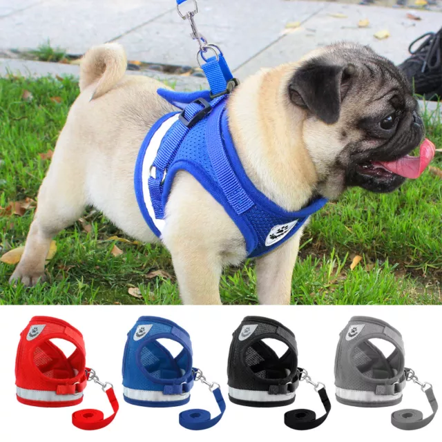 Mesh Dog Harness and Leash set Reflective Cat Puppy Vest French Bulldog Jacket