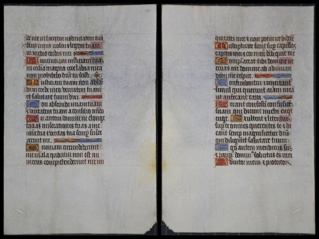 Illuminierte Grafia Su Pergamena Foglia Di Uno Miniatura Um 1500 (071)