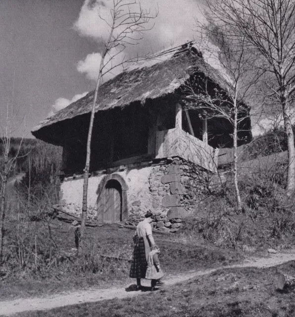 Alter Getreidespeicher bei Haslach im Kinzigtal  1927