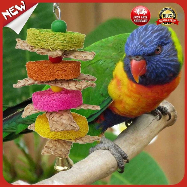 Reino Unido Colorido Loro Pájaro Mascota Colgante Pájaro Swing Cáscara de Maíz Mordedura de Masticación Rascado Para