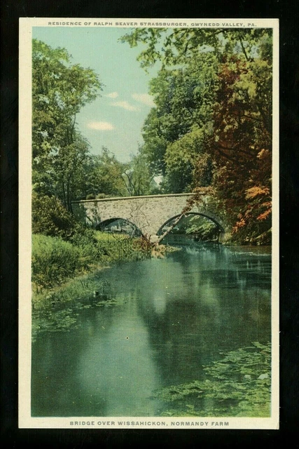 Pennsylvania PA postcard Gwynedd Valley, Strassburger Normandy Farms Phostint