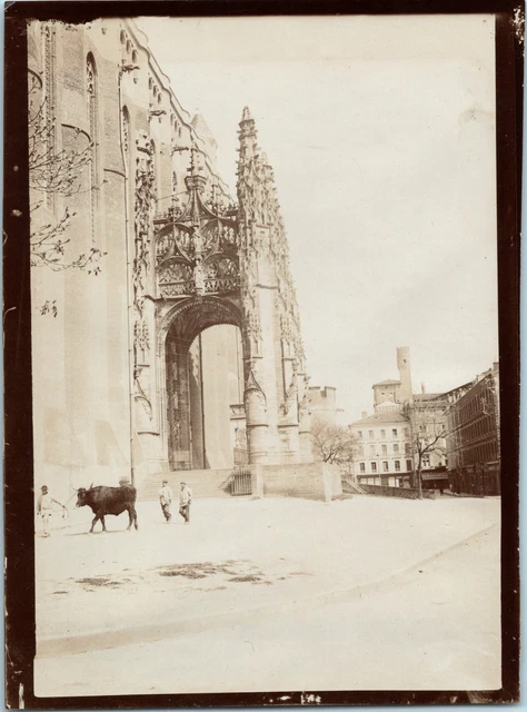Vue De La Cathédrale D'Albi - Tirage Argentique Vintage Vers 1905 - Format 9x12 Cm