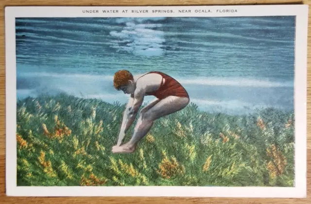 Under Water Silver Springs Near Ocala Florida FL Postcard PC 1920s Unused Kropp