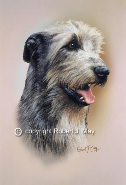 Irish Wolfhound Print by Robert J. May