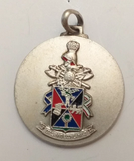 25) 131° Battaglione Genio Guastatori Ticino - Esercito
