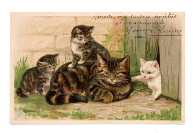 Dorothy Travers Pope Sans Signature. Gatti