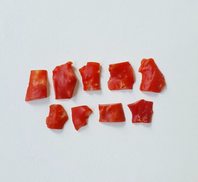 Pietra preziosa grezza piatta di corallo rosso giapponese non lucidato del...