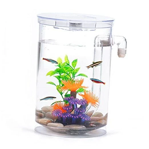 Betta Fish Tank, 360 Aquarium with LED Light, 1 Gallon Fish Bowl, Small Fish 7