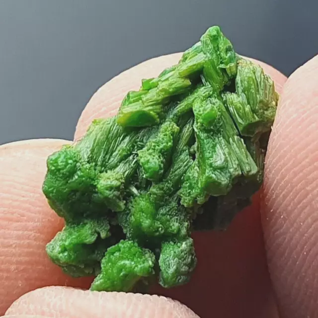 ★☆ PYROMORPHITE des Farges, Corrèze, France - 1.9 cm ☆★