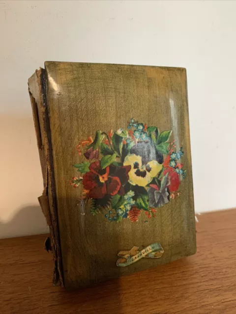 Antique Victorian Edwardian Hand-Painted Lacquered Photo Album Book