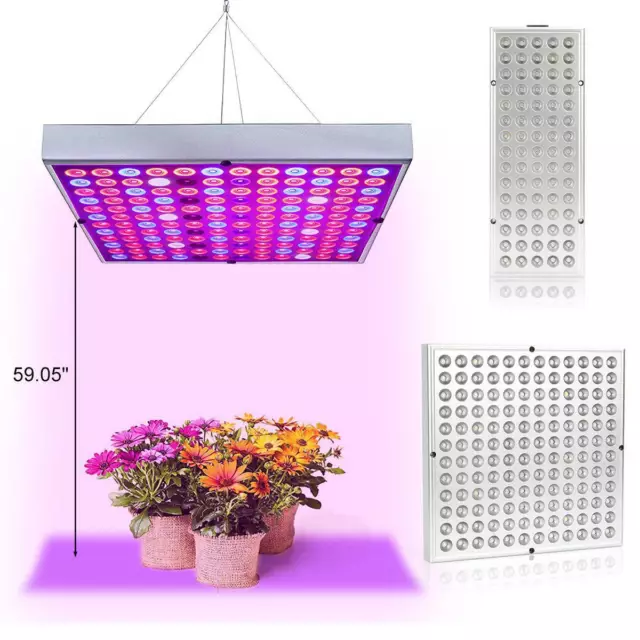 8000W LED Grow Light Full Spectrum Hydroponic Veg Flower Plant Lamp Indoor