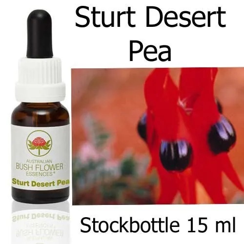 Botellas de stock STURT DESERT PEA Australian Bush Floral Esencias