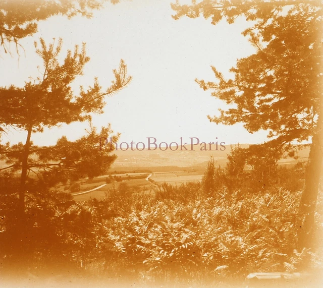 FRANCE Paysage 1945 Photo Plaque de verre Stereo Vintage P29L9n4