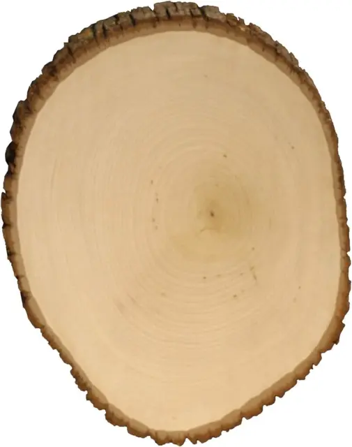 Basswood Country Round, Extra Large for Woodburning, Home Décor and Rustic Weddi