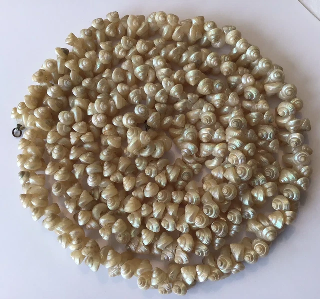 VINTAGE 49 INCHES ABORIGINAL TASMANIAN MAIREENER SHELL IRIDESCENCE ...